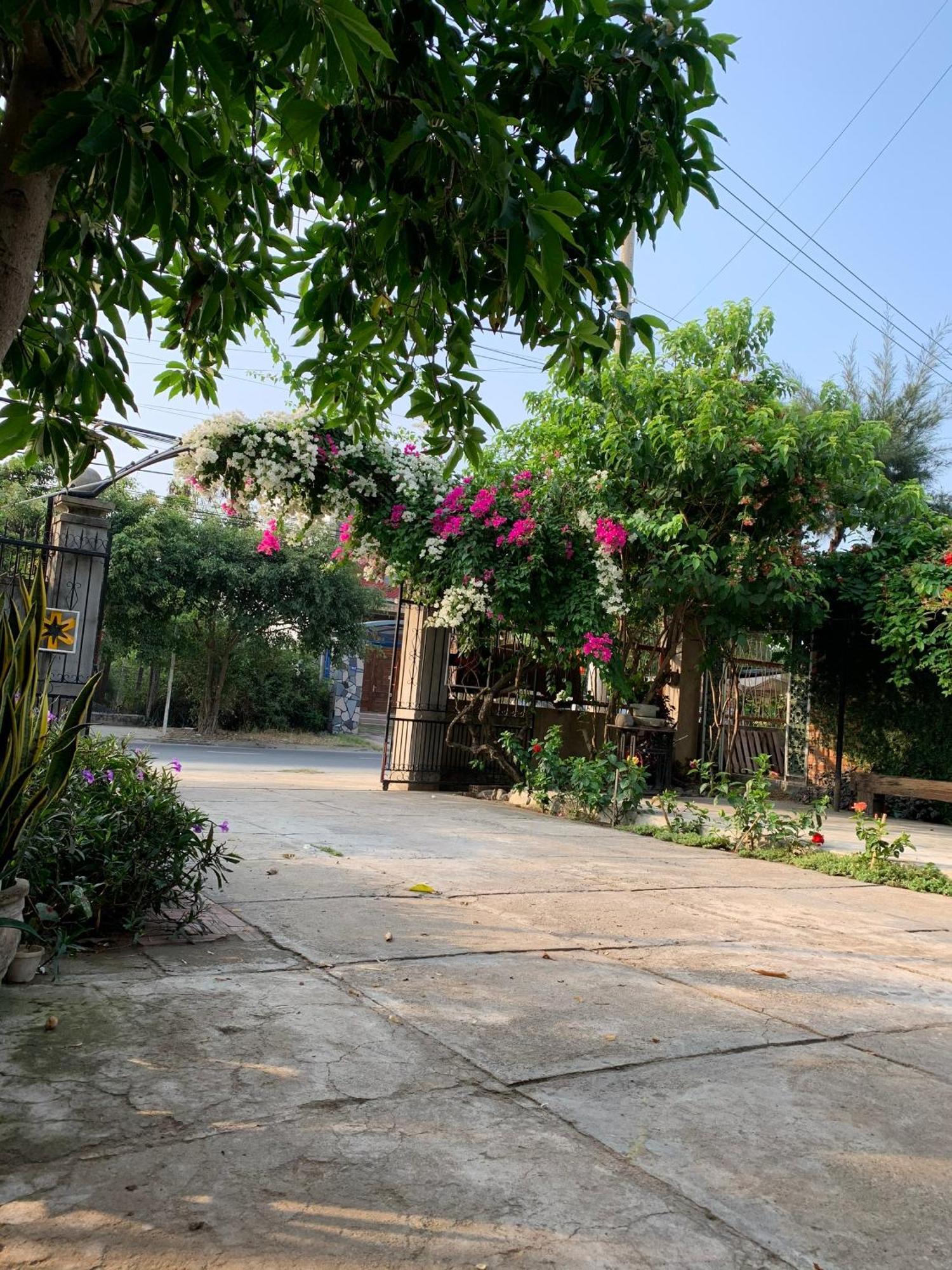 Yellow Farm Homestay Dong Tac Zewnętrze zdjęcie