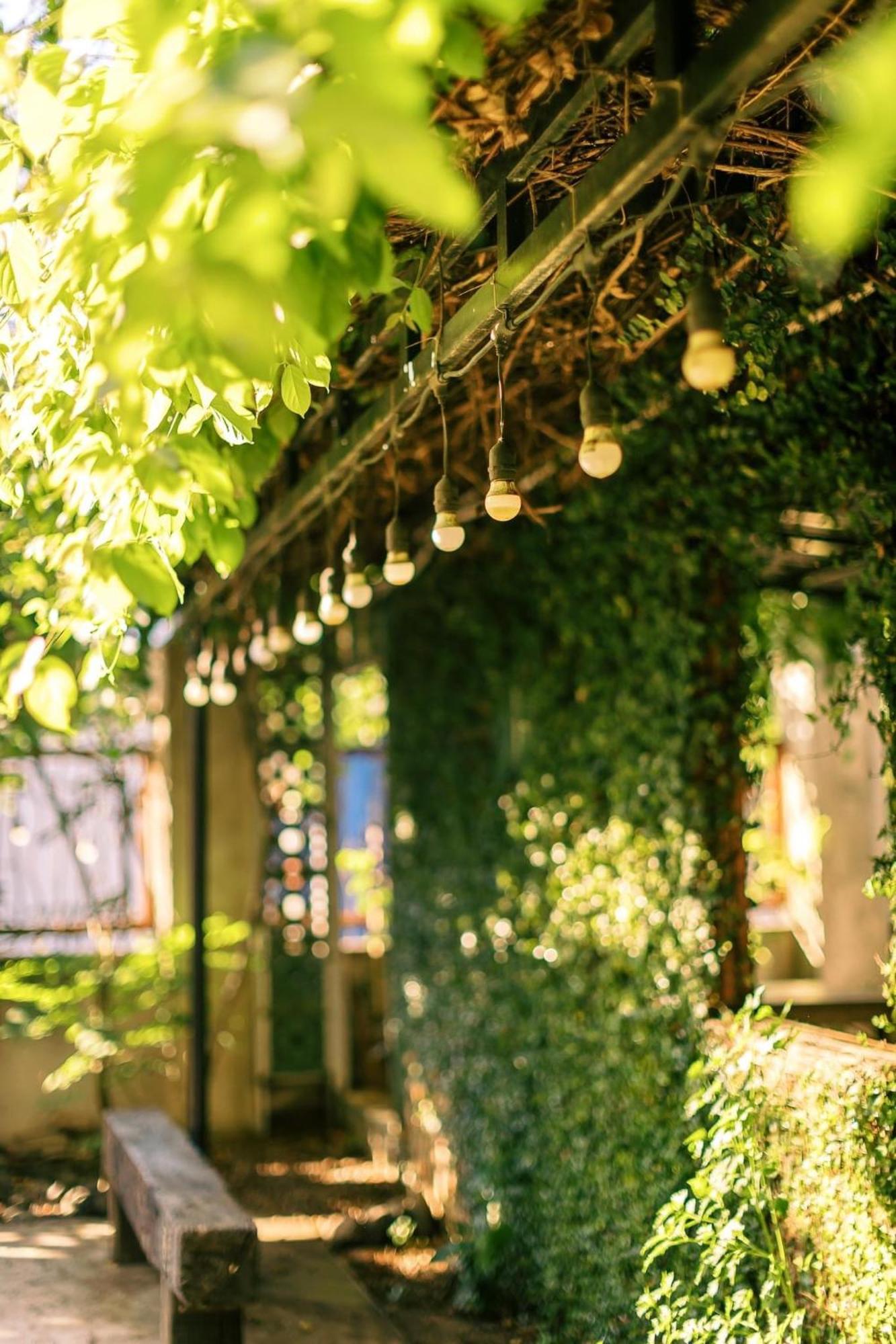 Yellow Farm Homestay Dong Tac Zewnętrze zdjęcie